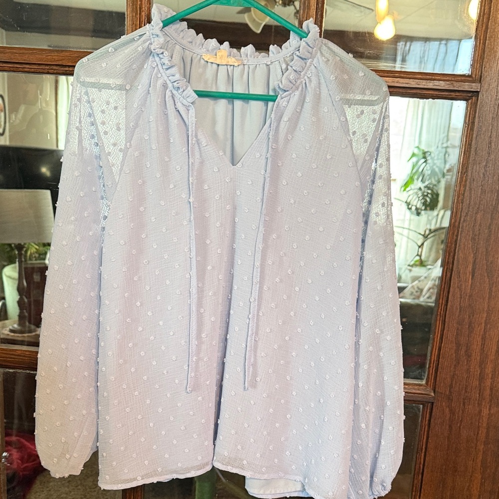 ee:some Light‎ Blue Swiss Dot Ruffle Neck Tie Long Sleeve Blouse Small Womens